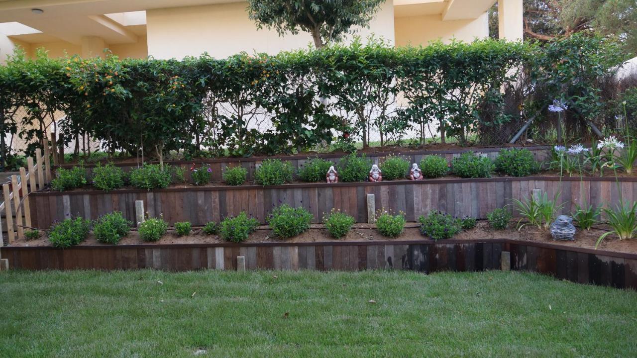 Dúplex Lujo Recién Reformado con Jardín - Caños de Meca - 50m playa Los Canos De Meca Extérieur photo
